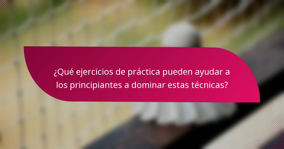 ¿Qué ejercicios de práctica pueden ayudar a los principiantes a dominar estas técnicas?